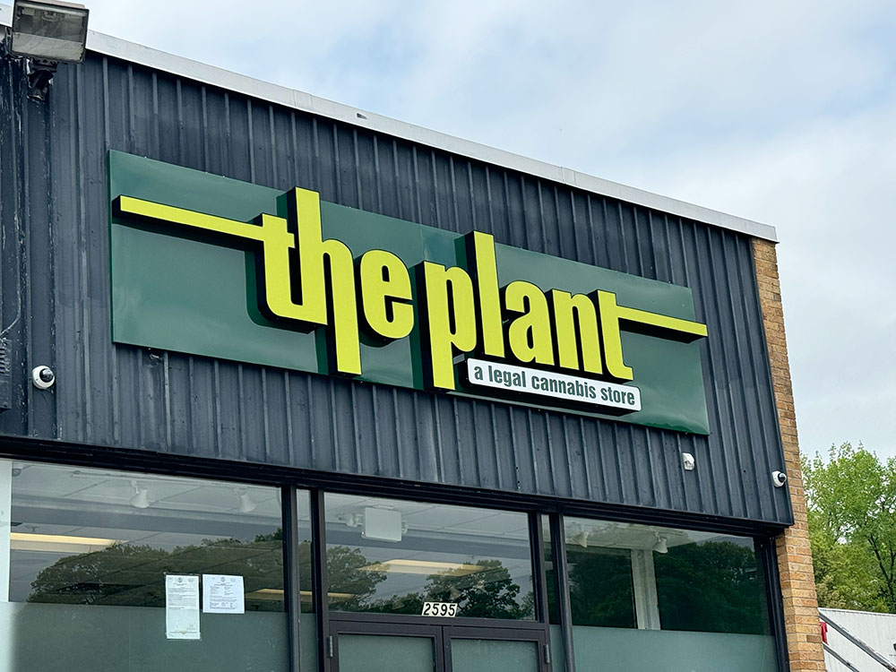 Transform Your Vehicle with High-Impact Vinyl Wraps